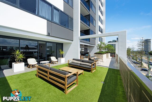 157 31 Queensland Avenue Broadbeach QLD 4218