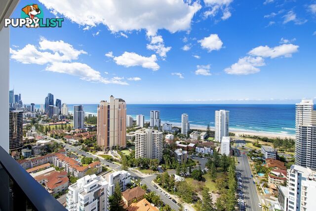 157 31 Queensland Avenue Broadbeach QLD 4218