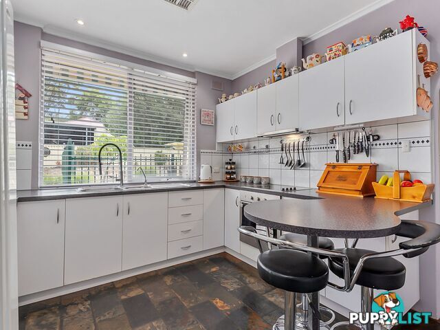 124 Haines Road Banksia Park SA 5091