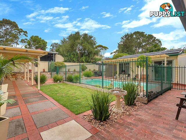 124 Haines Road Banksia Park SA 5091