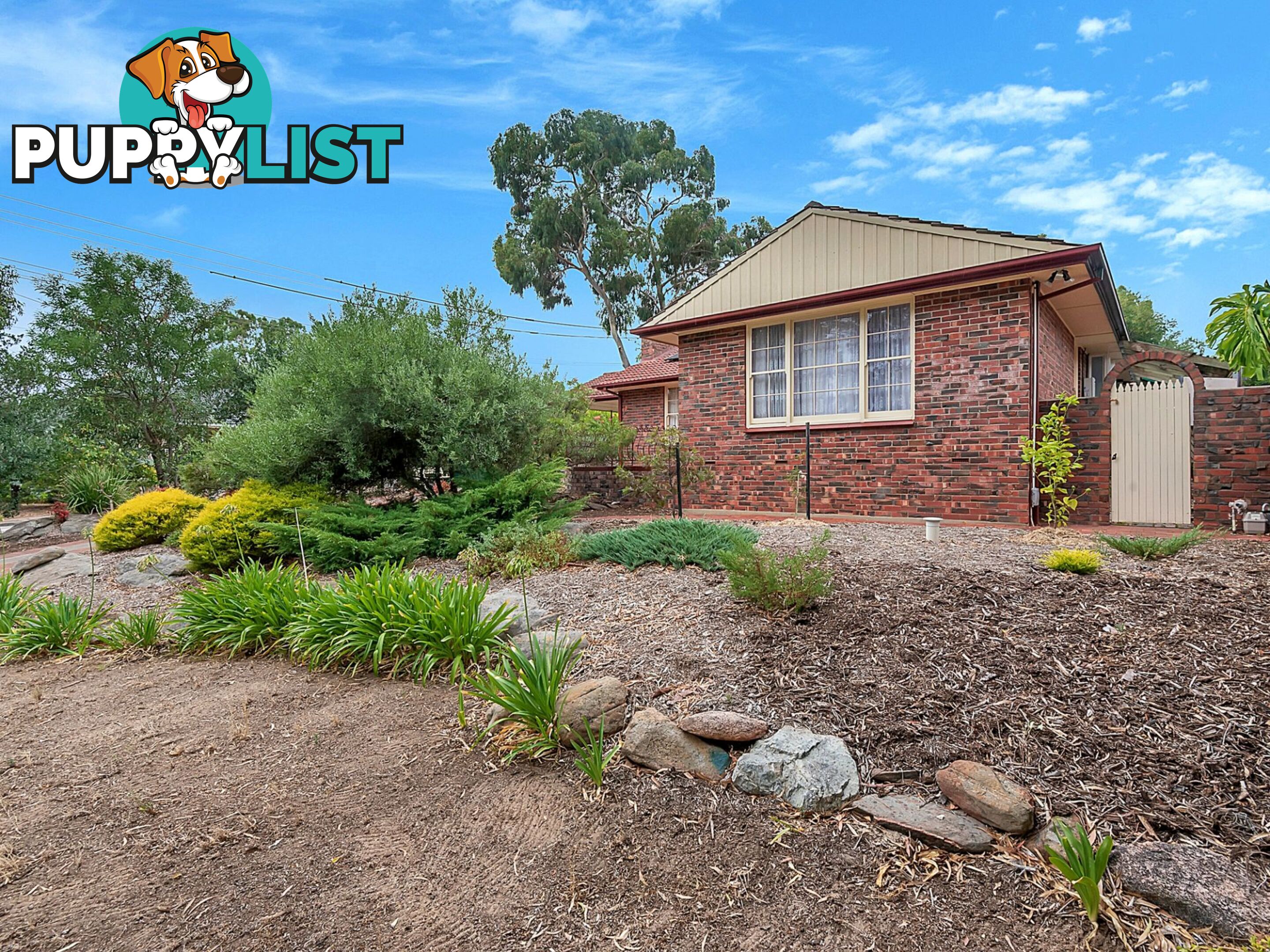 124 Haines Road Banksia Park SA 5091