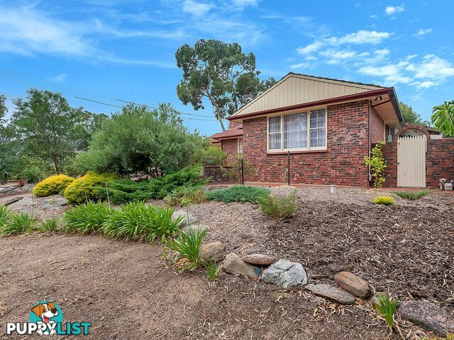 124 Haines Road Banksia Park SA 5091