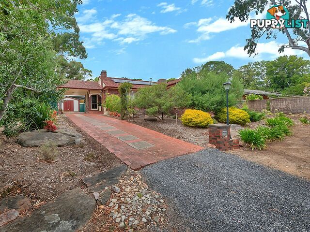 124 Haines Road Banksia Park SA 5091