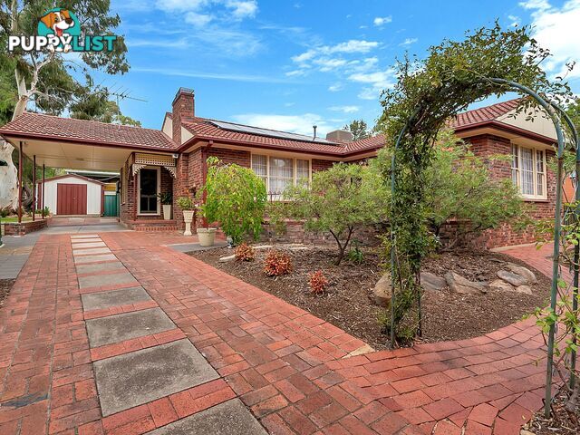 124 Haines Road Banksia Park SA 5091