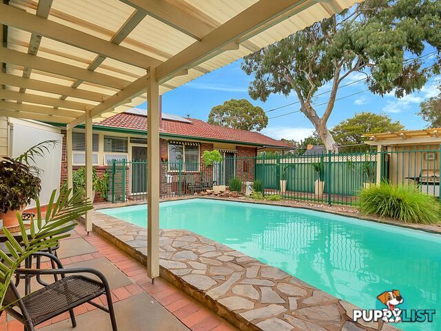 124 Haines Road Banksia Park SA 5091