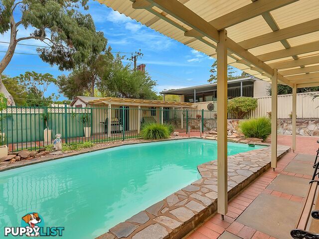 124 Haines Road Banksia Park SA 5091