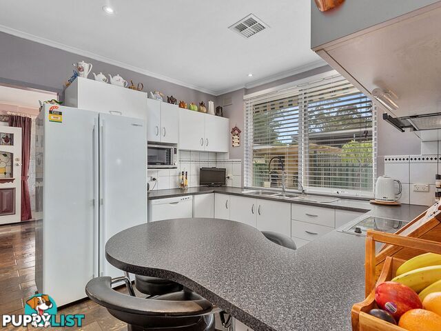 124 Haines Road Banksia Park SA 5091