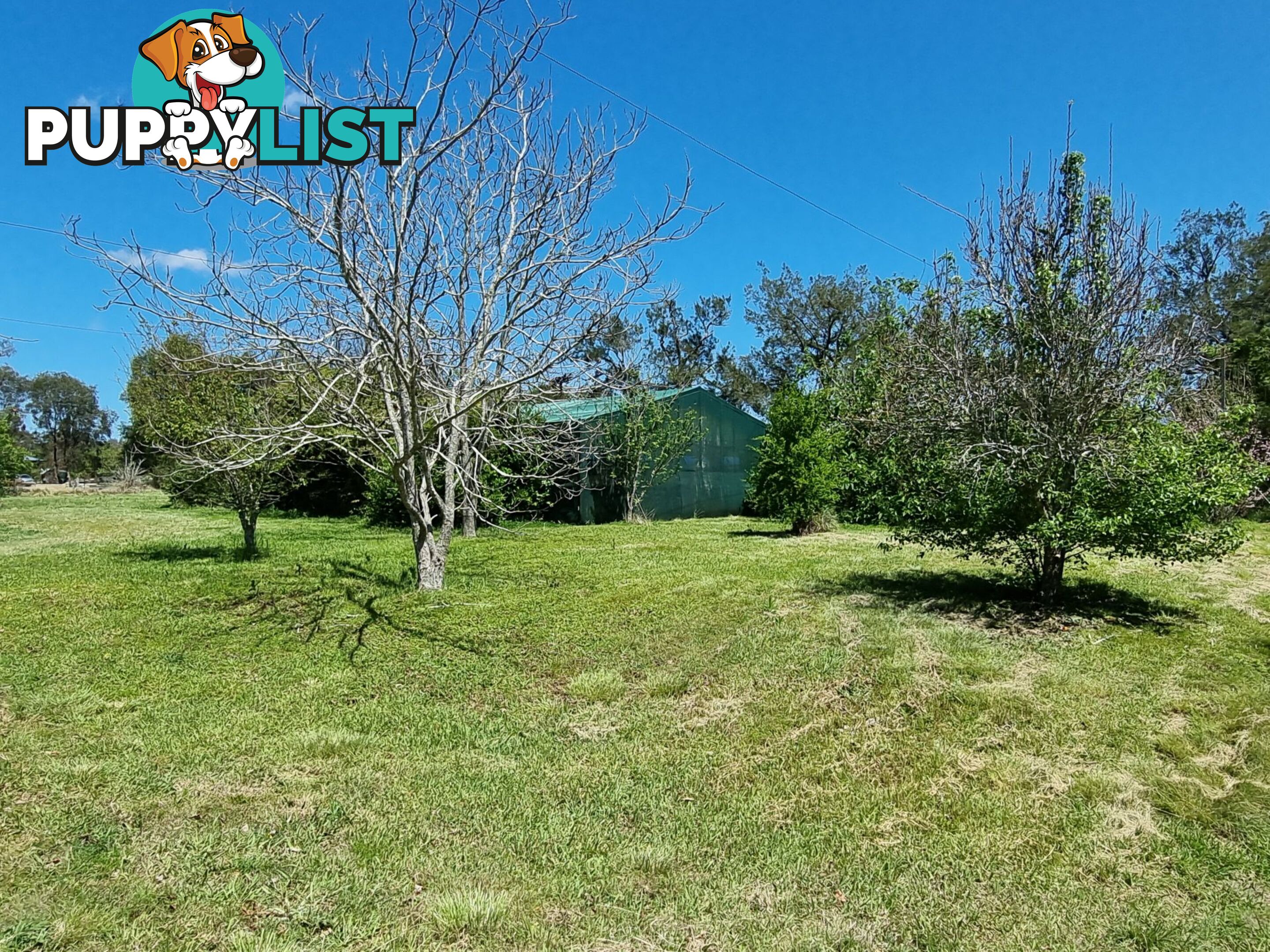 510 Kumbia Road Brooklands QLD 4615