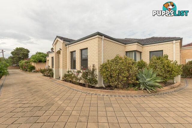 11B Chester Avenue Dianella WA 6059