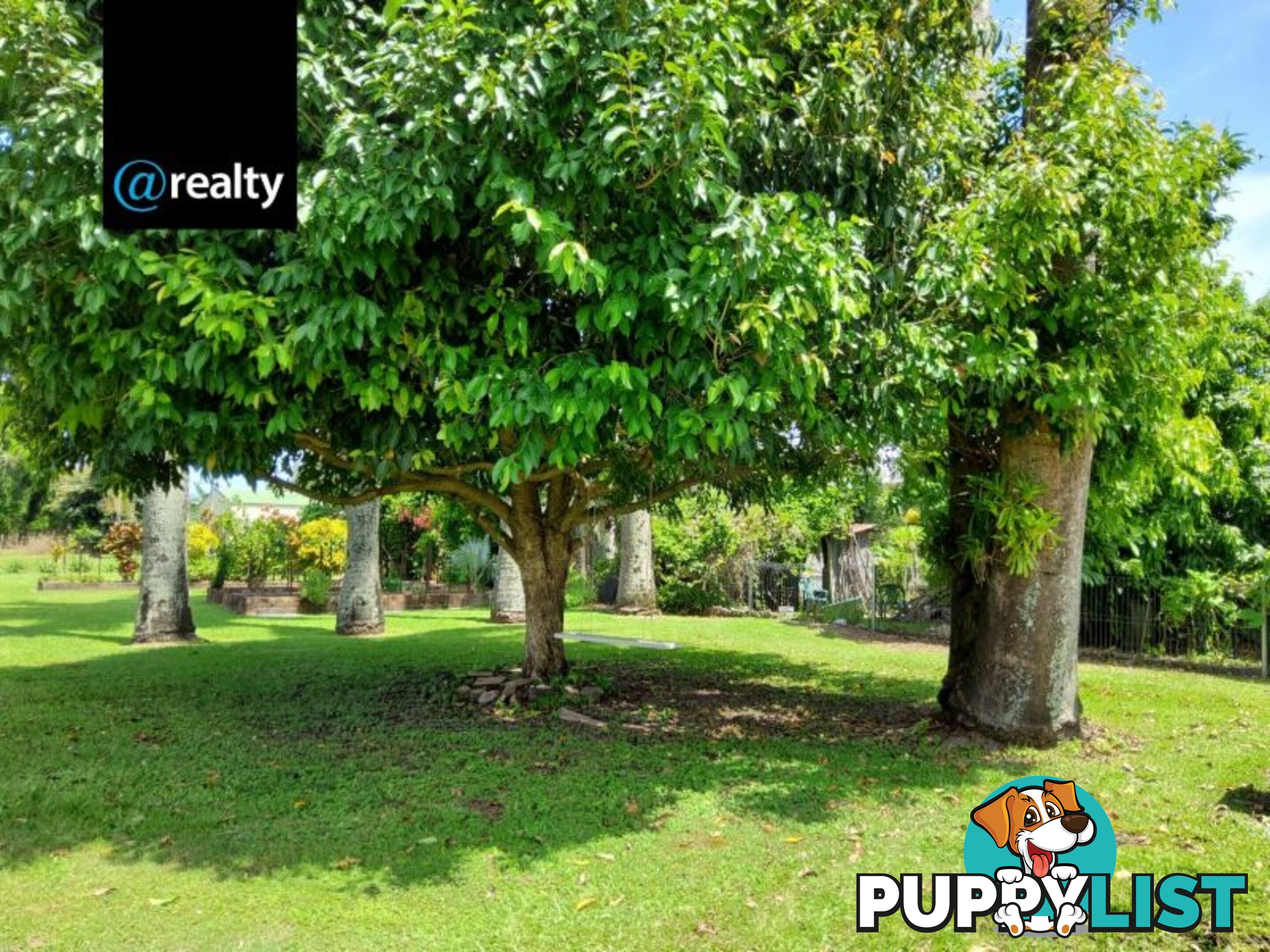 7 Heard Street Ingham QLD 4850