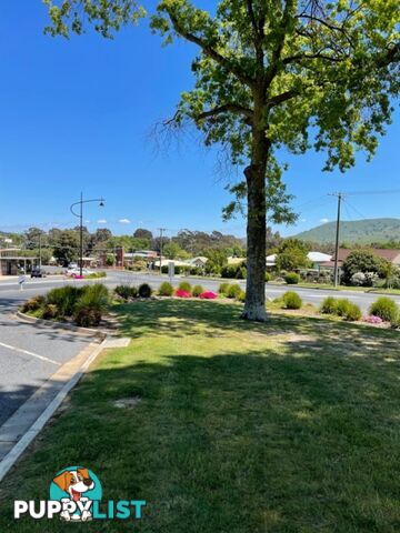 79 Towong Street Tallangatta VIC 3700