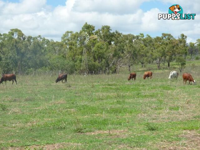 BOWEN QLD 4805