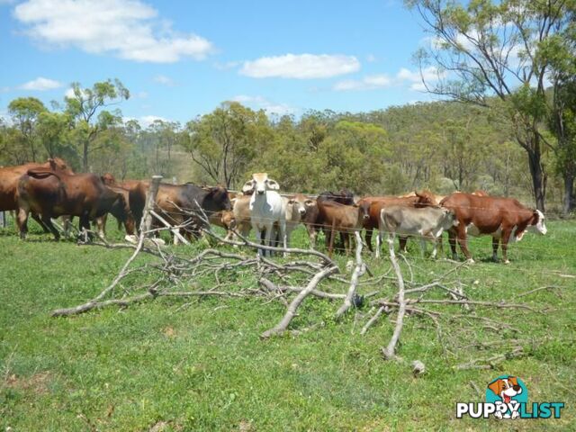 BOWEN QLD 4805