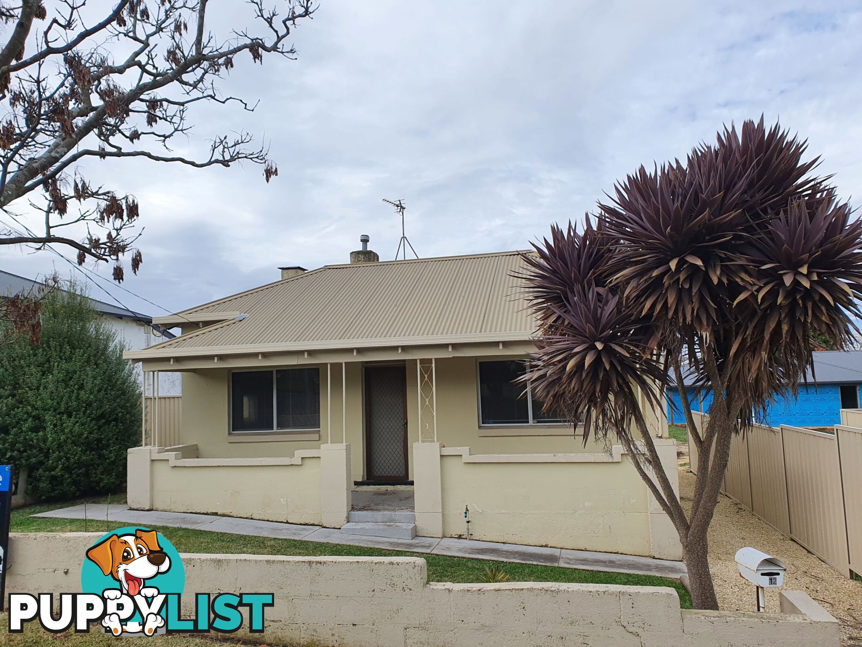 12 KEEGAN STREET Mount Gambier SA 5290