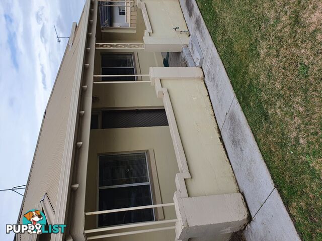 12 KEEGAN STREET Mount Gambier SA 5290