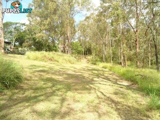 61A BERTHA STREET Goodna QLD 4300