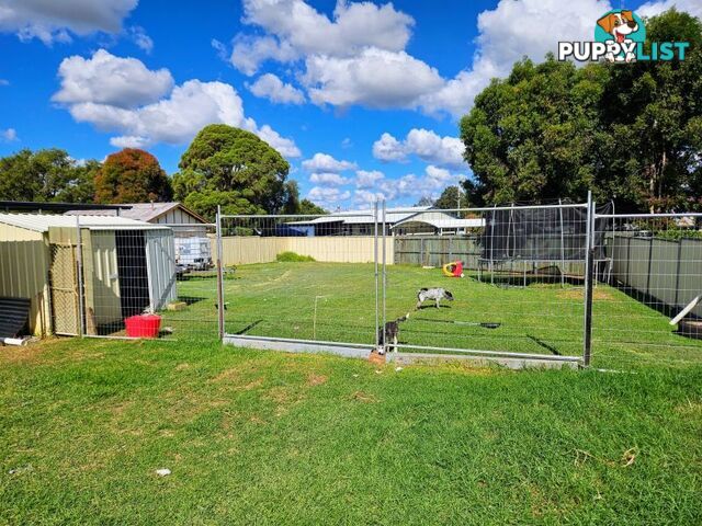 3 Nolan Street Crows Nest QLD 4355