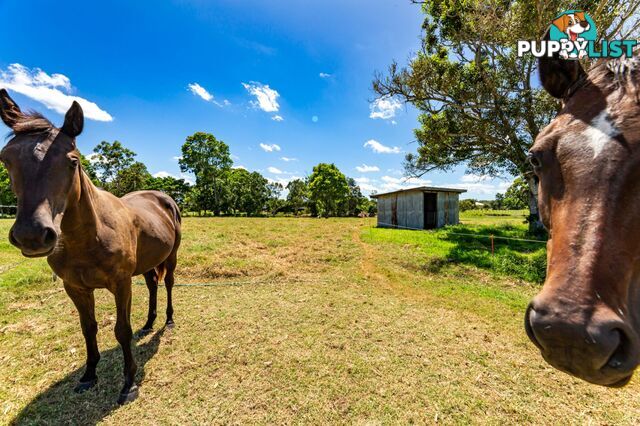 3 500 Bonna Road Branyan QLD 4670