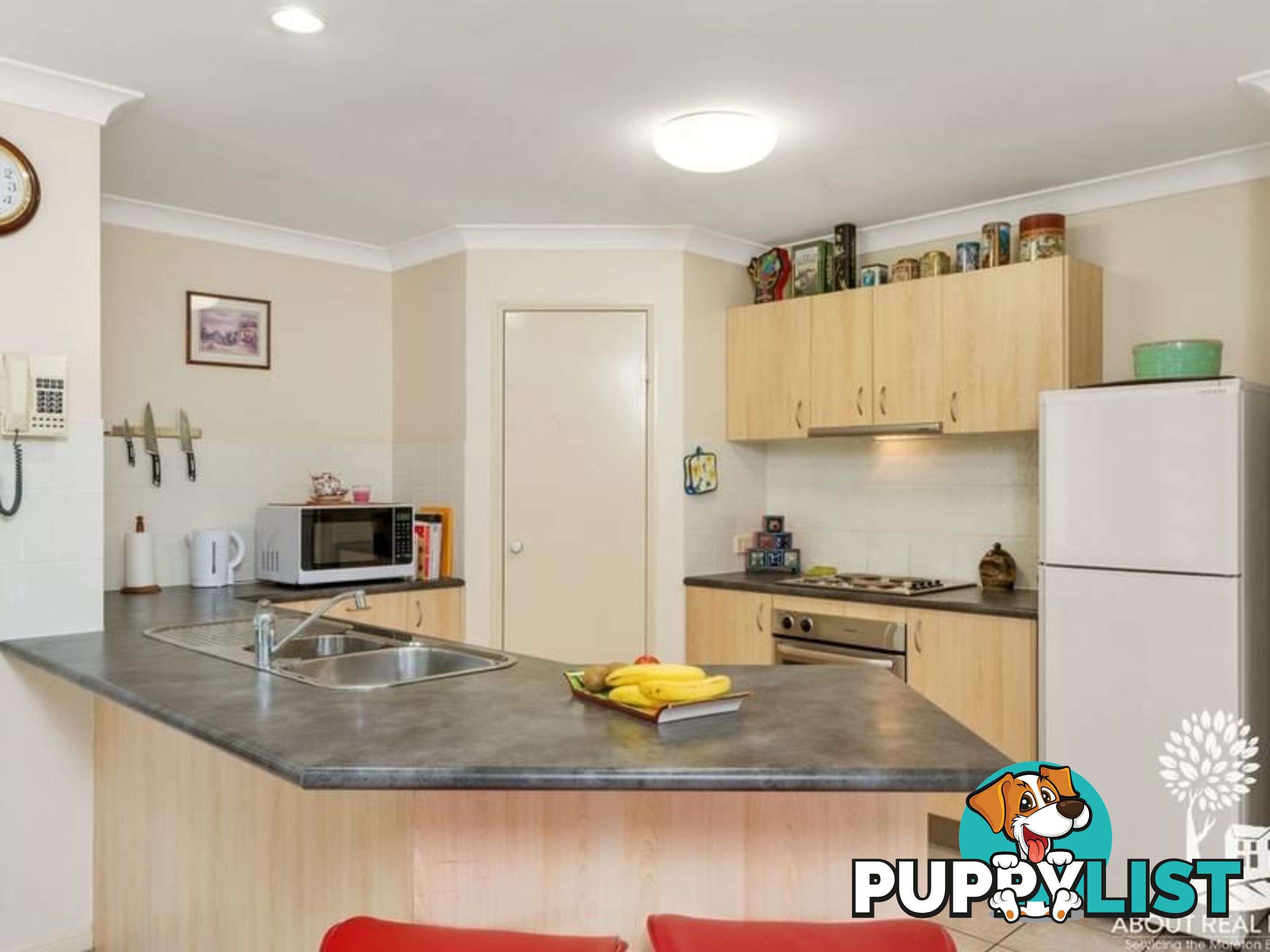 54 cottontree drive NARANGBA QLD 4504