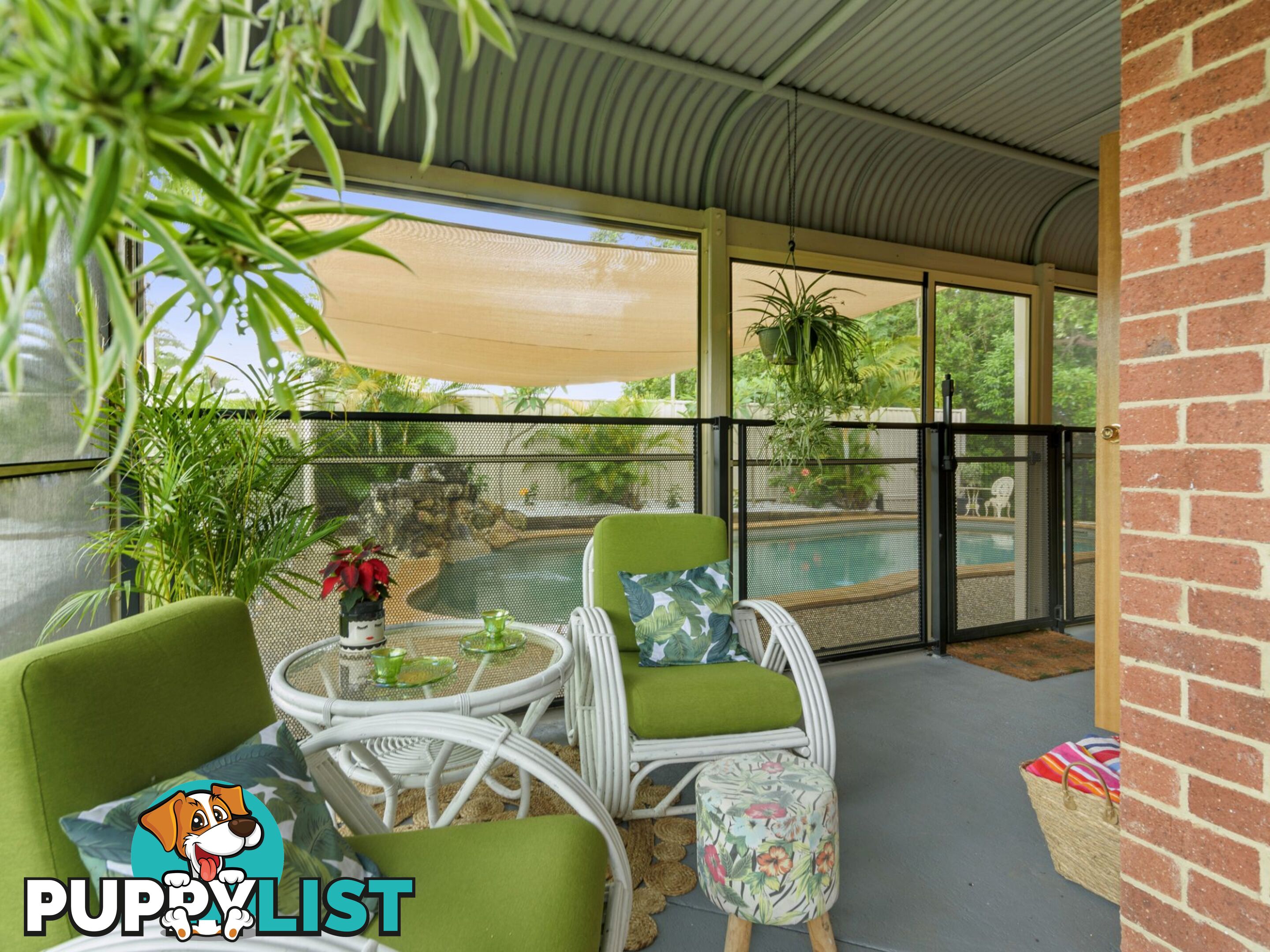 3 Coachwood Court Murwillumbah NSW 2484