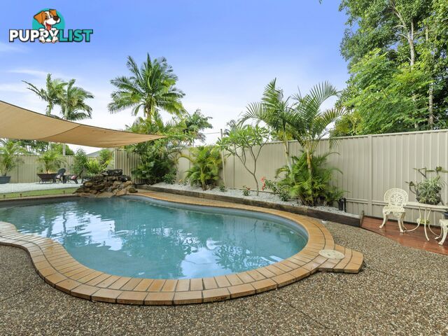 3 Coachwood Court Murwillumbah NSW 2484