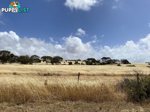 S67 Flinders Highway Streaky Bay SA 5680