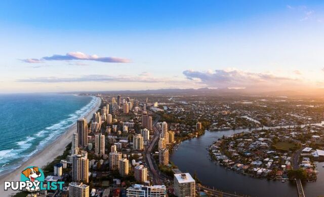 Broadbeach QLD 4218