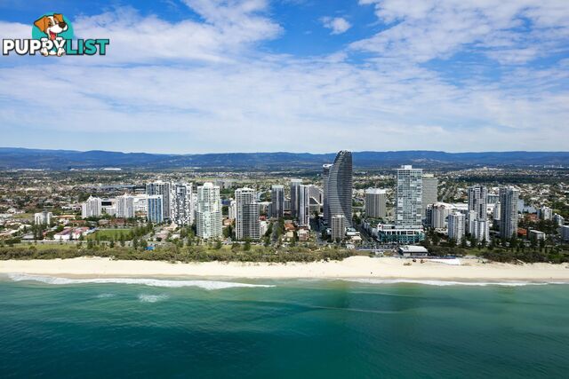 Broadbeach QLD 4218