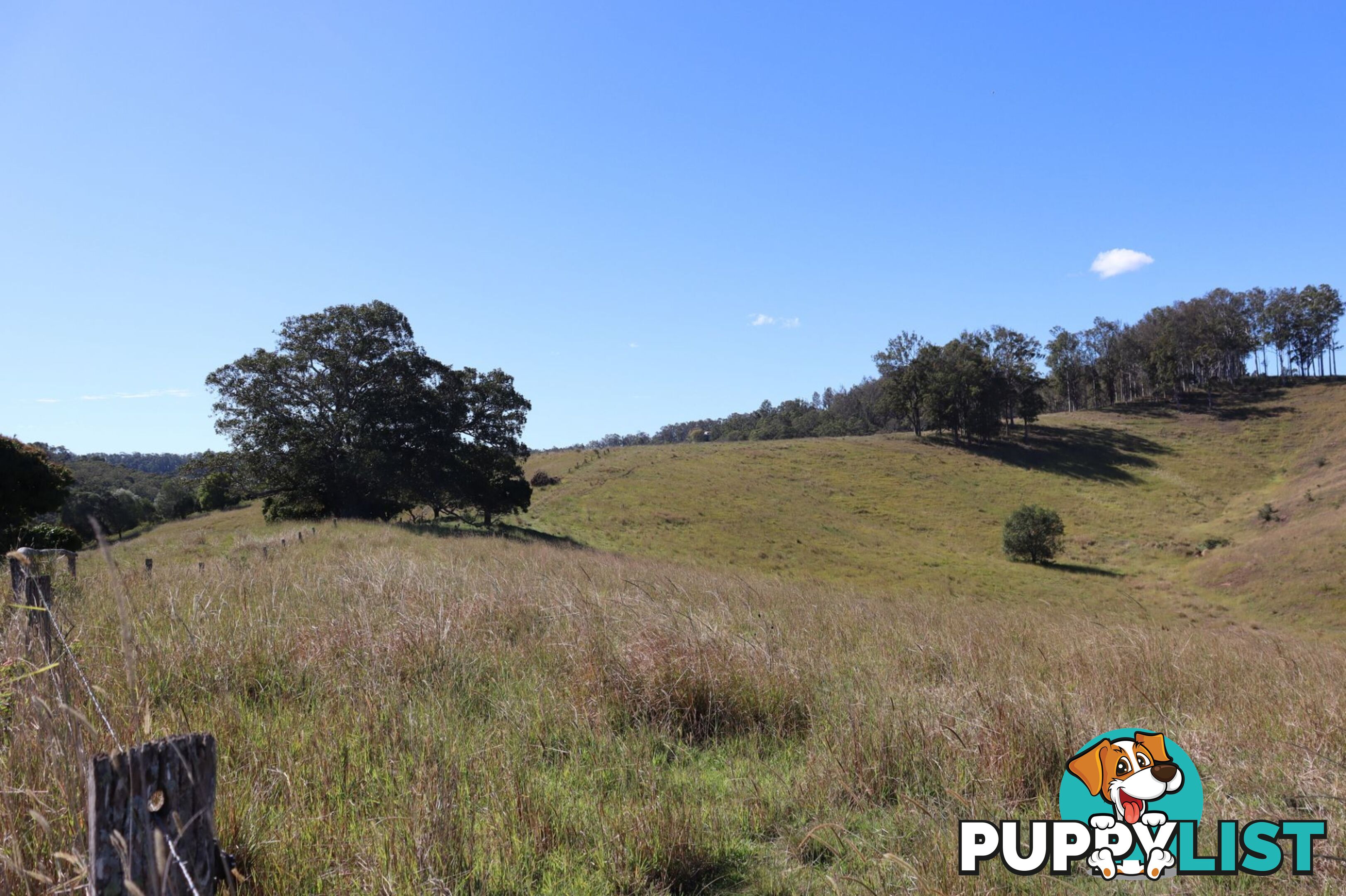 Lots 1 & 1 Sandy Creek Road Veteran QLD 4570