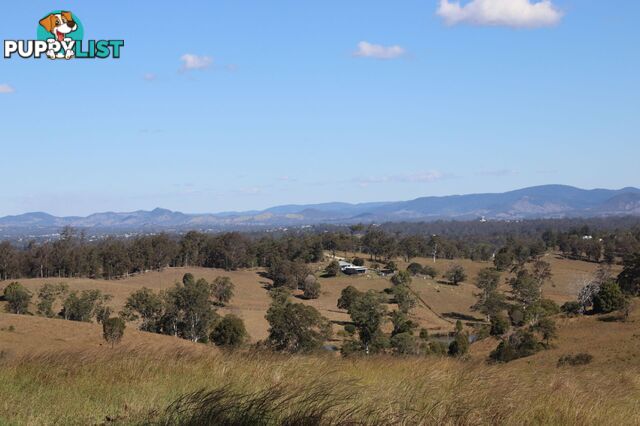 Lots 1 & 1 Sandy Creek Road Veteran QLD 4570