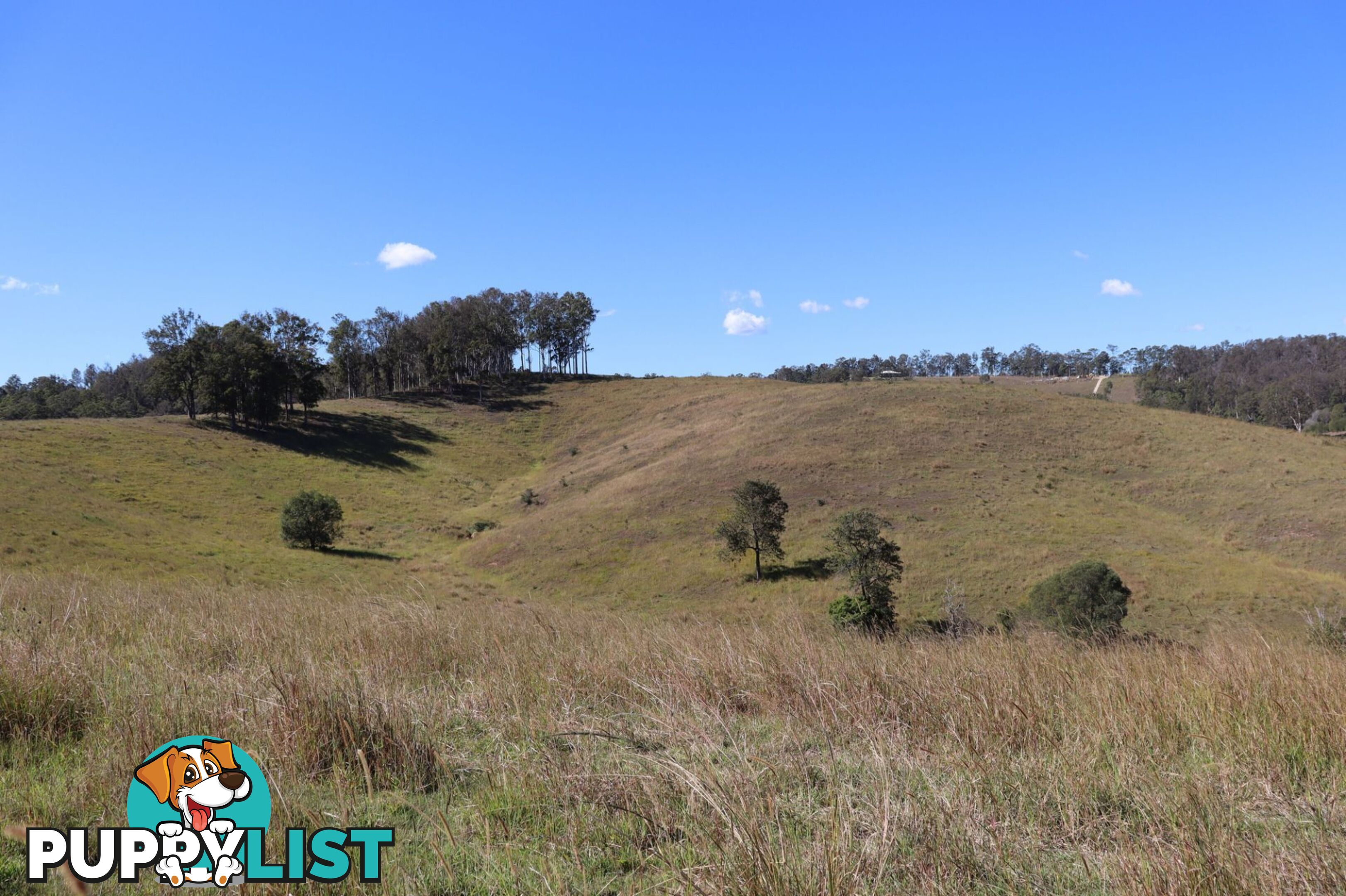 Lots 1 & 1 Sandy Creek Road Veteran QLD 4570