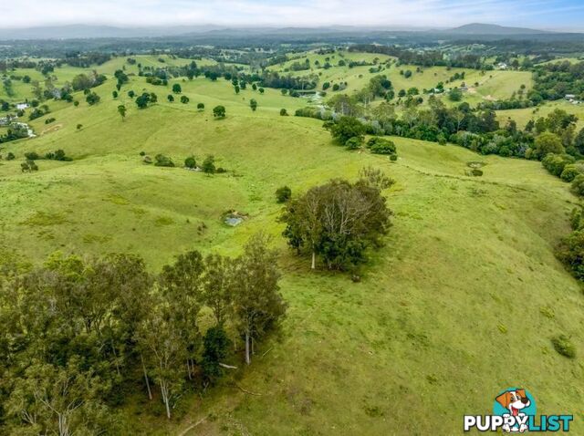 Lots 1 & 1 Sandy Creek Road Veteran QLD 4570