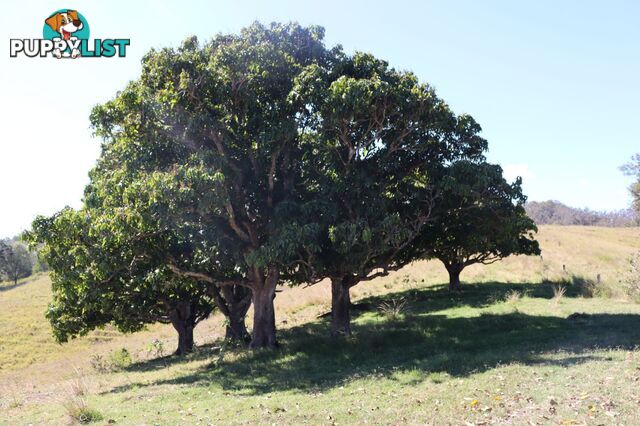 Lots 1 & 1 Sandy Creek Road Veteran QLD 4570