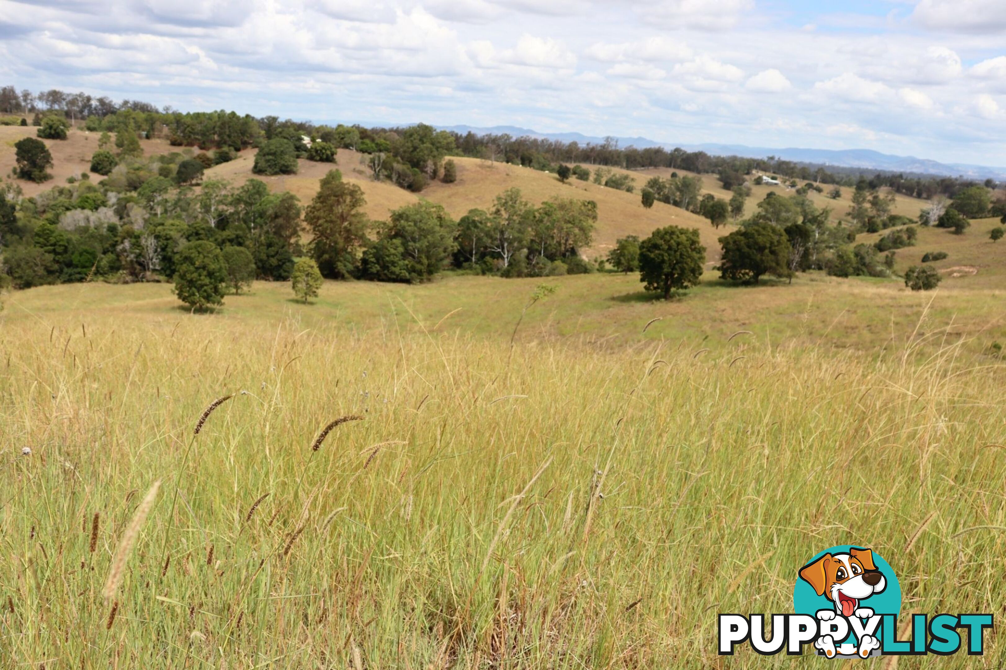 Lots 1 & 1 Sandy Creek Road Veteran QLD 4570