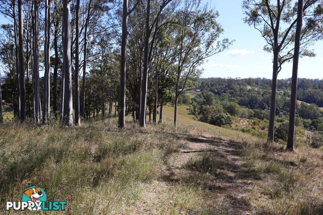 Lots 1 & 1 Sandy Creek Road Veteran QLD 4570