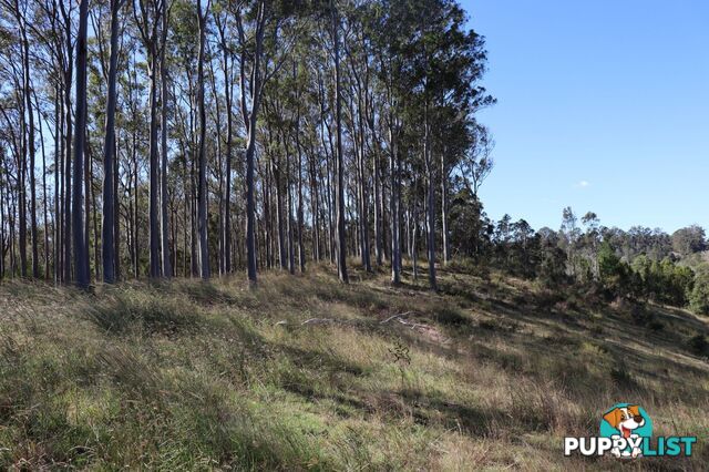 Lots 1 & 1 Sandy Creek Road Veteran QLD 4570