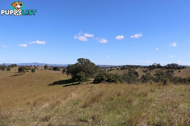 Lots 1 & 1 Sandy Creek Road Veteran QLD 4570