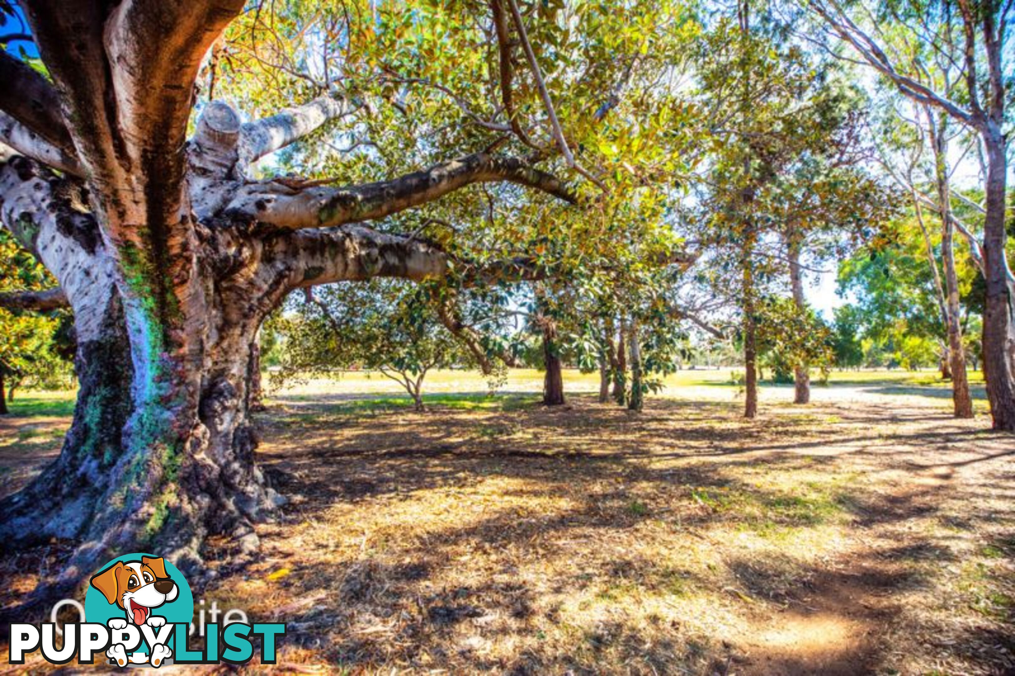 1 79 Greenhill Road Wayville SA 5034