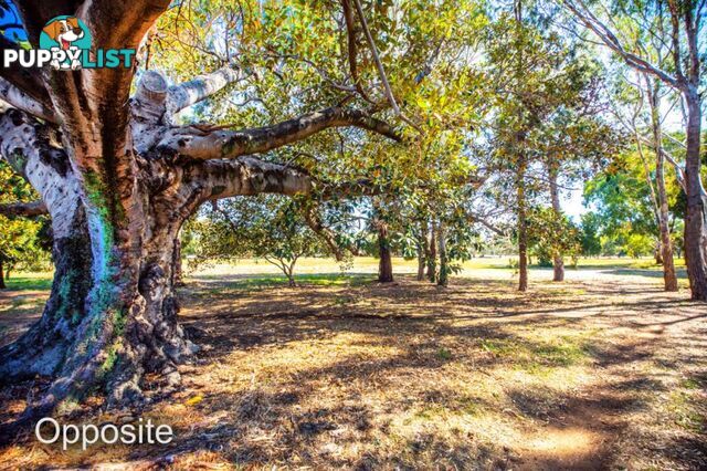 1 79 Greenhill Road Wayville SA 5034