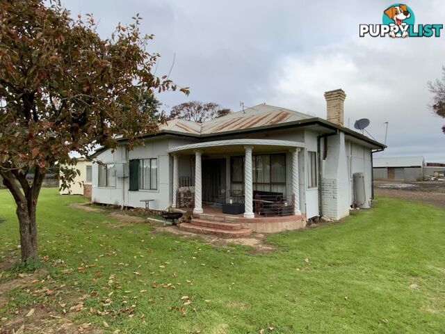 329 & 391 Rossetto Road Bilbul NSW 2680