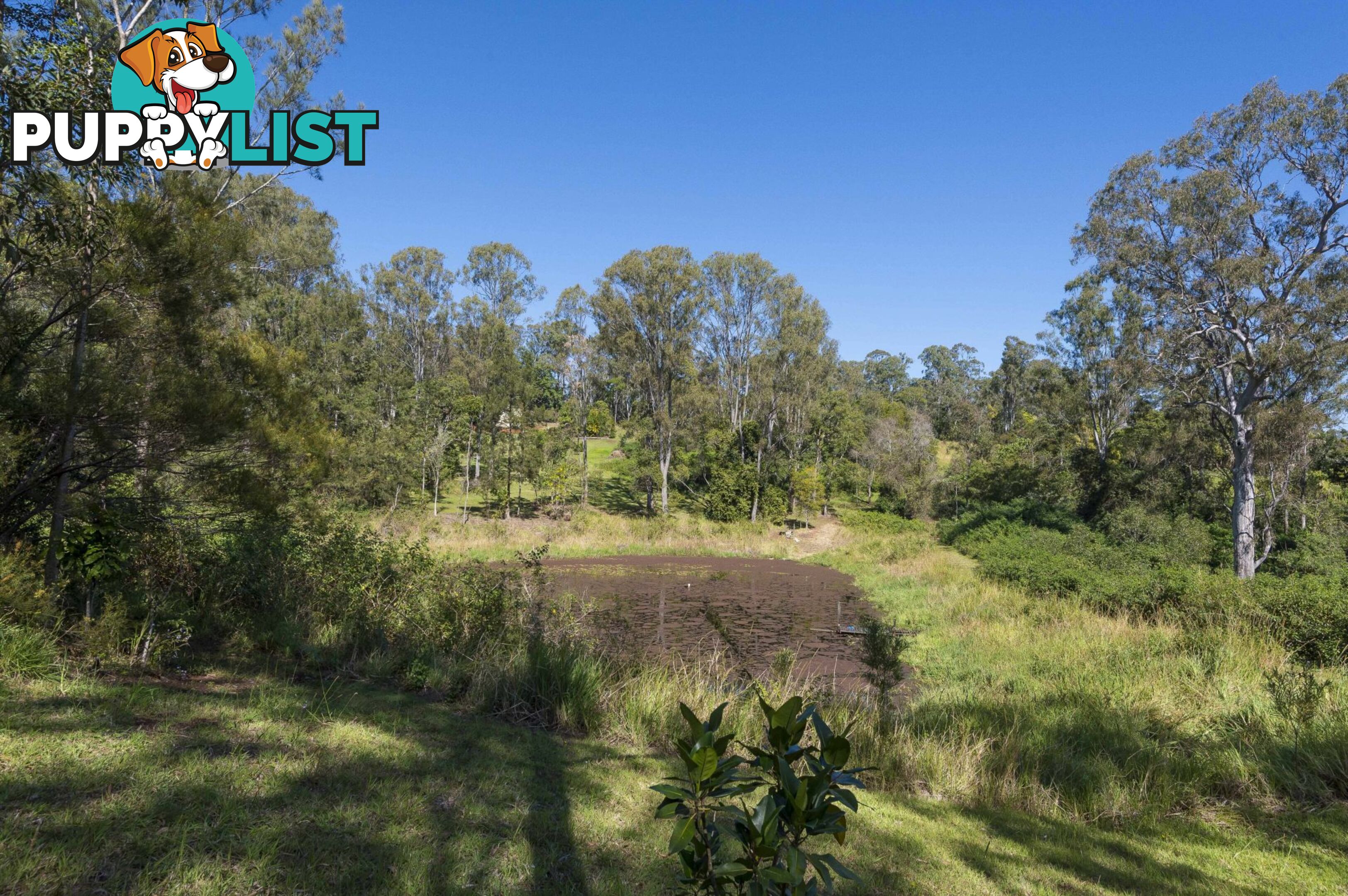 26 Mitchell Road Georgica NSW 2480