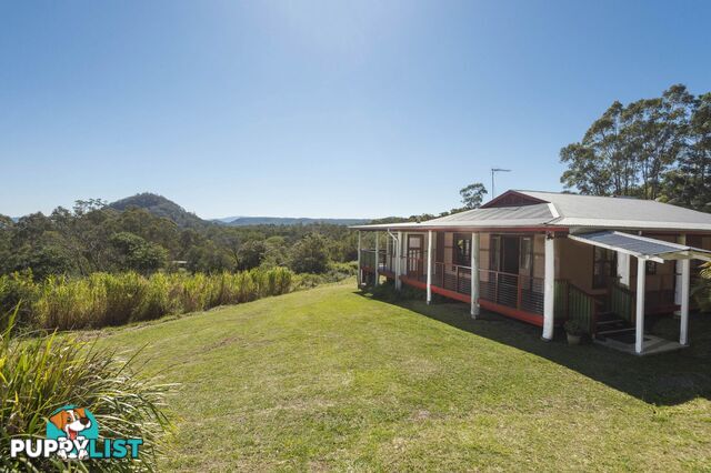 26 Mitchell Road Georgica NSW 2480