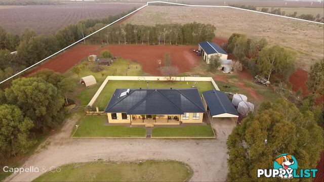 91 Zanotto Road Nericon NSW 2680