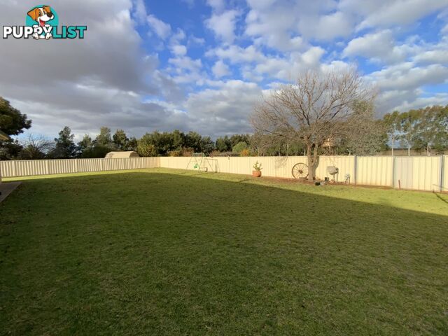 91 Zanotto Road Nericon NSW 2680