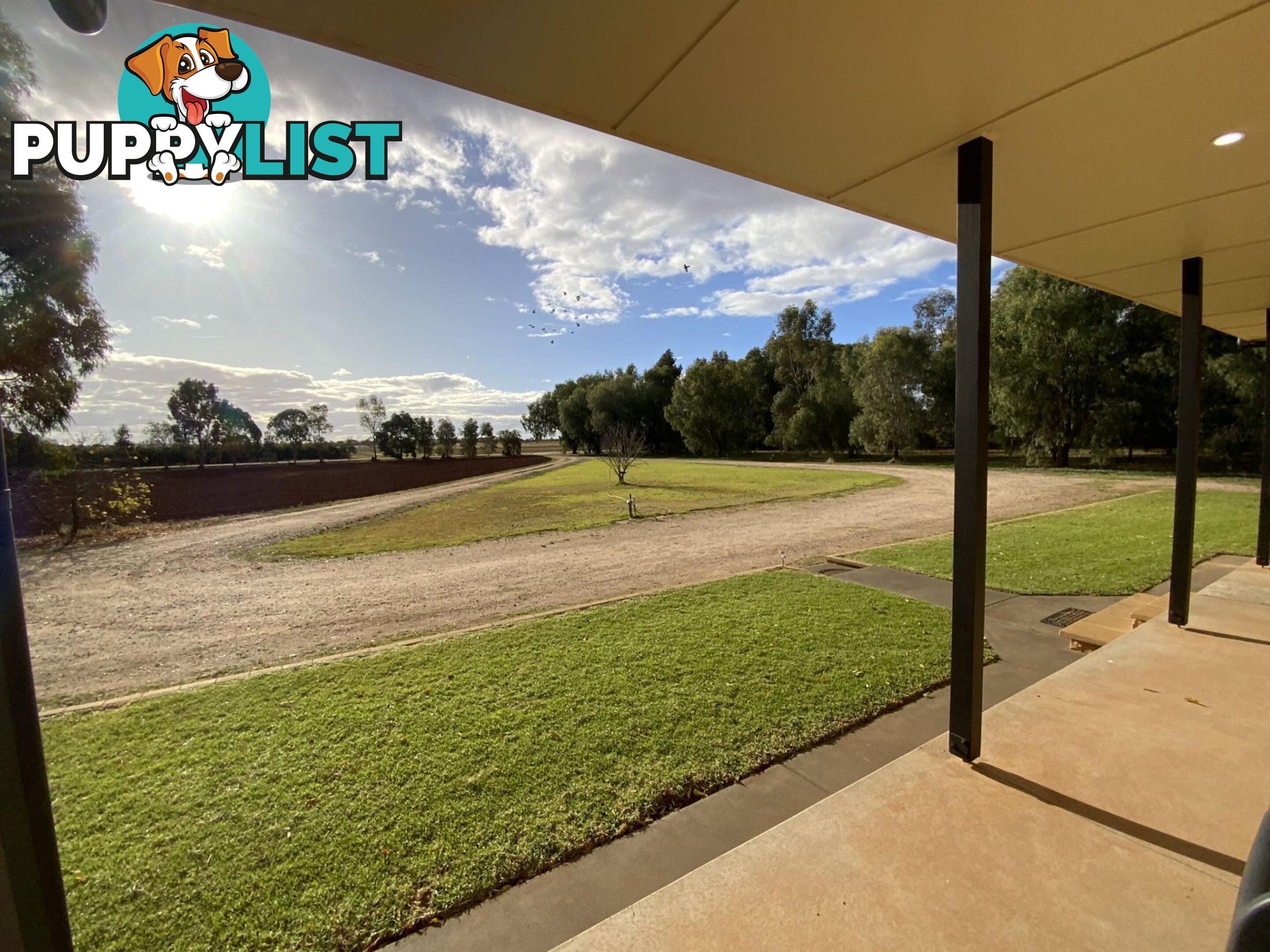 91 Zanotto Road Nericon NSW 2680