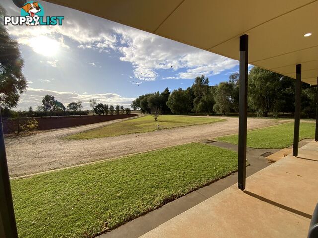 91 Zanotto Road Nericon NSW 2680