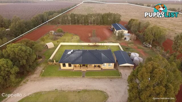 91 Zanotto Road Nericon NSW 2680