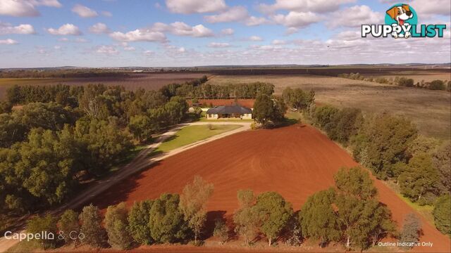 91 Zanotto Road Nericon NSW 2680