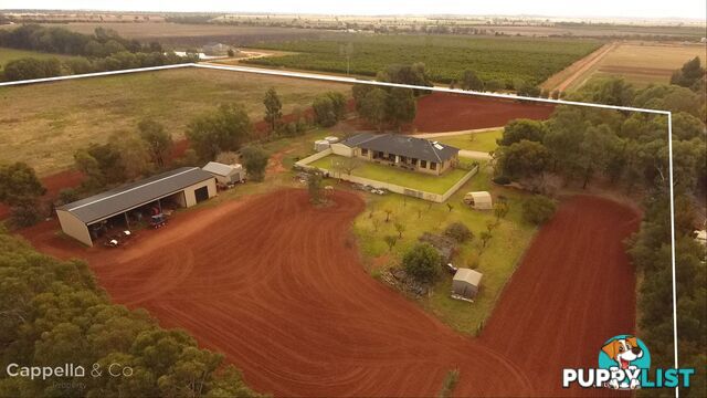 91 Zanotto Road Nericon NSW 2680