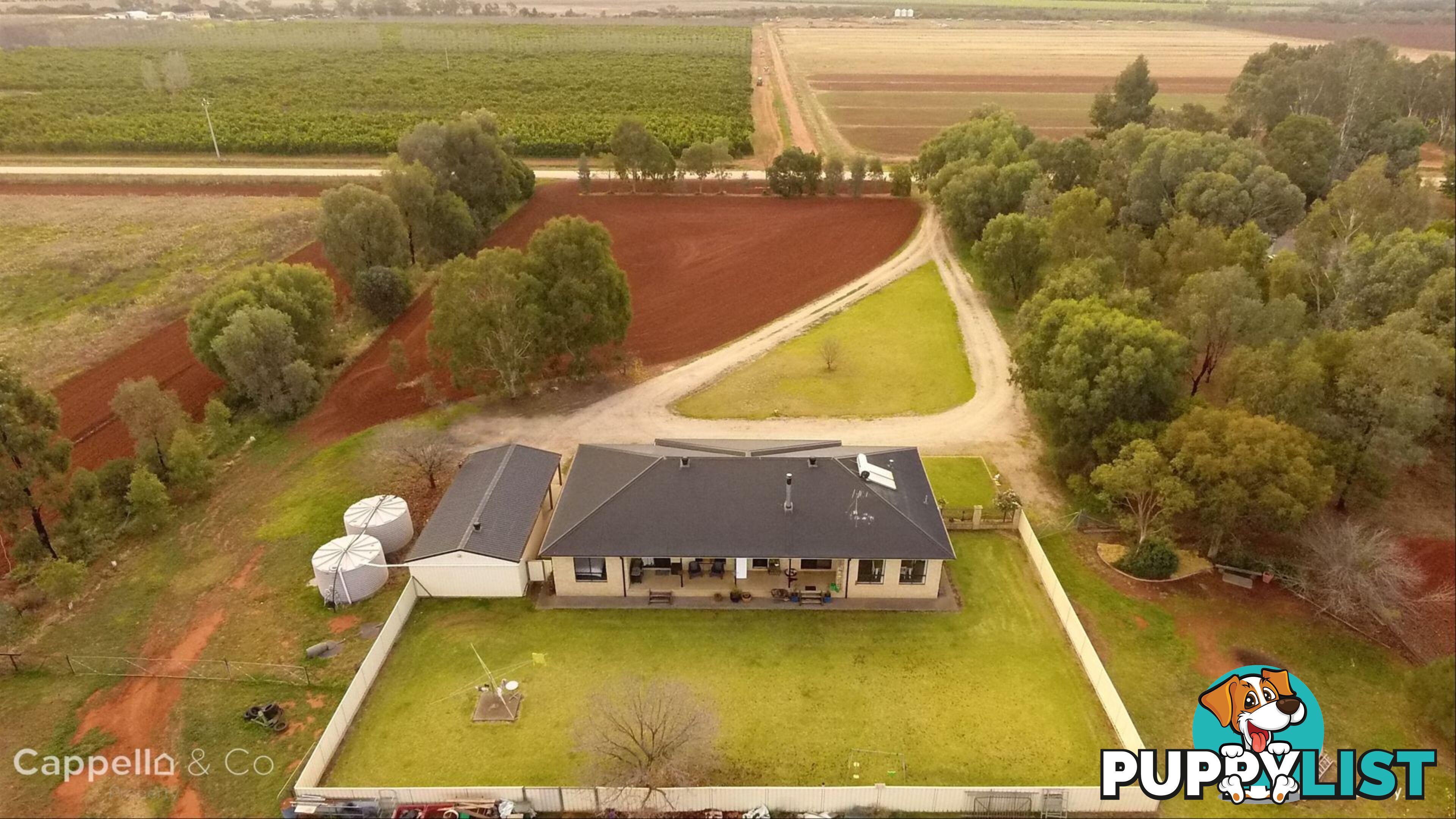 91 Zanotto Road Nericon NSW 2680
